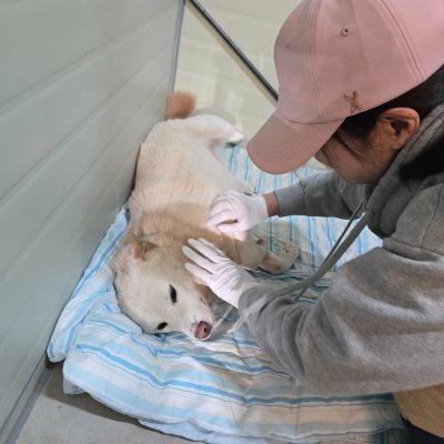 노을이