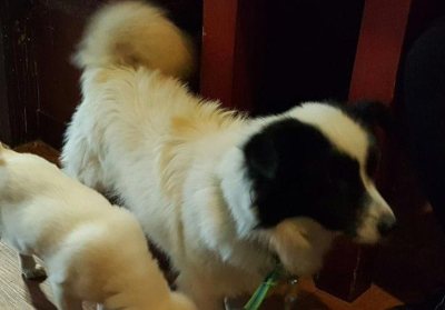보훈