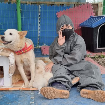 레미