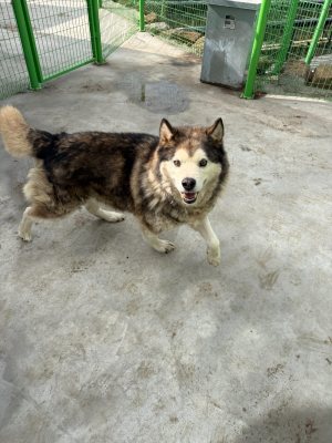 통키