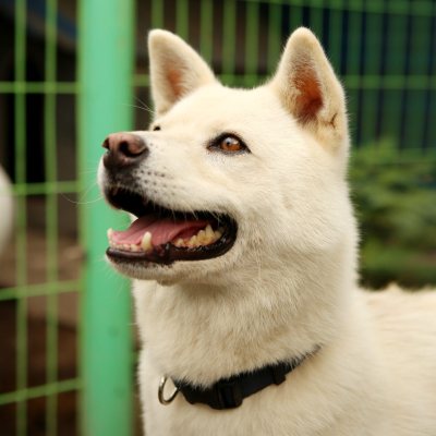 정우