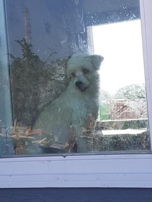 땡이