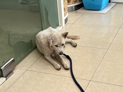 슈퍼