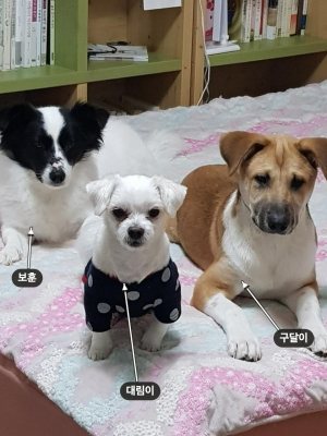 보훈