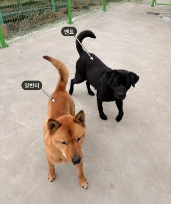 벤트