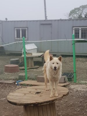 상대