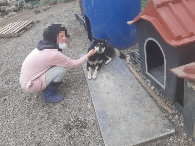 꿈돌이