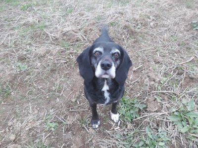 메리