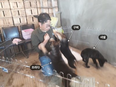 구찌