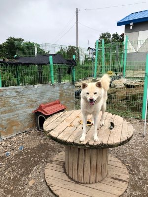 정우