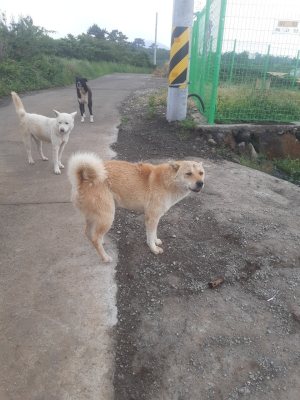 슈퍼