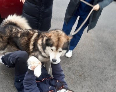 통키