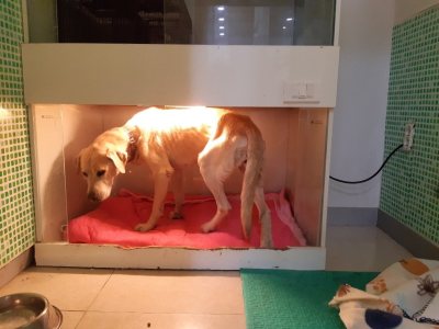 가을이