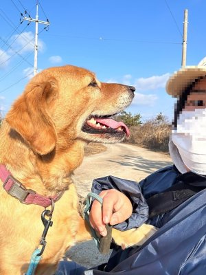 예지
