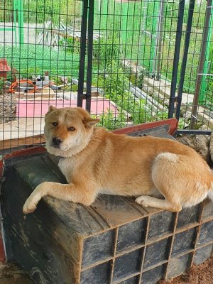 마트