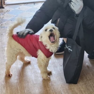 땡이