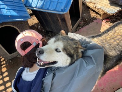 통키
