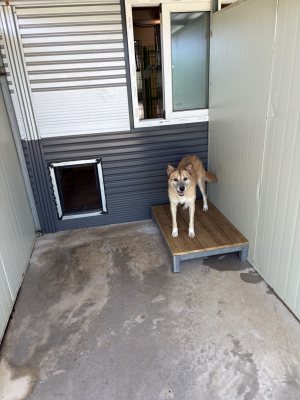 춘향이