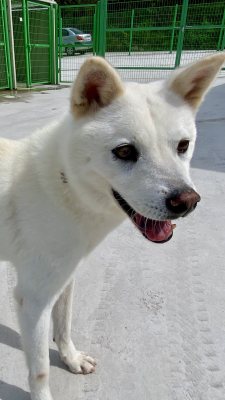 정우