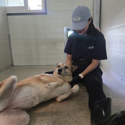 춘향이