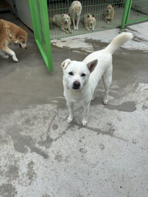 슈퍼